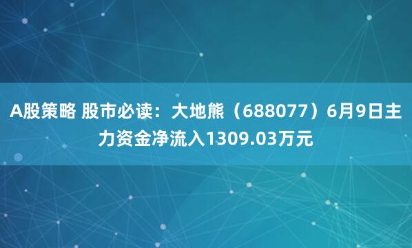 A股策略 股市必读：大地熊（688077）6月9日主力资金净流入1309.03万元