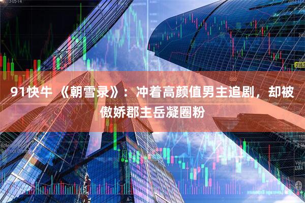 91快牛 《朝雪录》：冲着高颜值男主追剧，却被傲娇郡主岳凝圈粉
