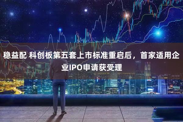 稳益配 科创板第五套上市标准重启后，首家适用企业IPO申请获受理