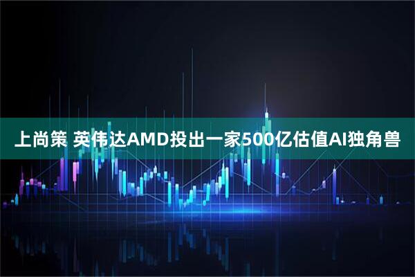 上尚策 英伟达AMD投出一家500亿估值AI独角兽