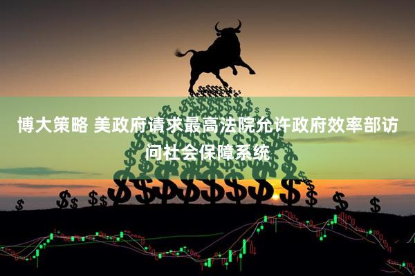 博大策略 美政府请求最高法院允许政府效率部访问社会保障系统