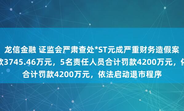 龙信金融 证监会严肃查处*ST元成严重财务造假案件：上市公司罚款3745.46万元，5名责任人员合计罚款4200万元，依法启动退市程序