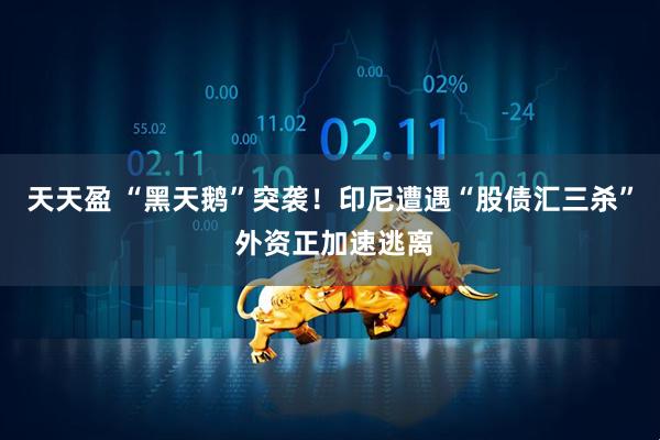 天天盈 “黑天鹅”突袭！印尼遭遇“股债汇三杀” 外资正加速逃离